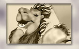 Candie Camel